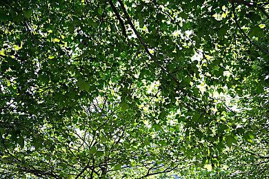 国产大作《凡人修仙传》投资约3亿 玩法偏向ARPG