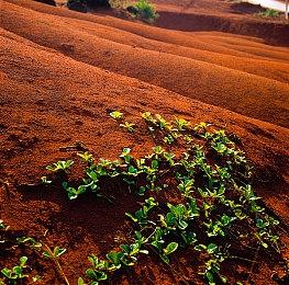 官方正在调查D加密对《全面战争：战锤3》的影响